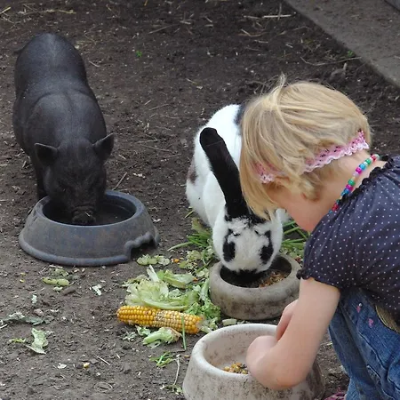 Heidekrug Hotel Dohma