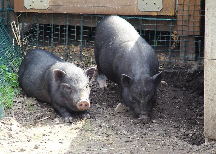 Heidekrug فندق 2*