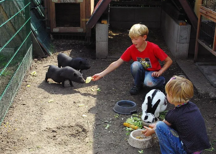 Heidekrug فندق 2*