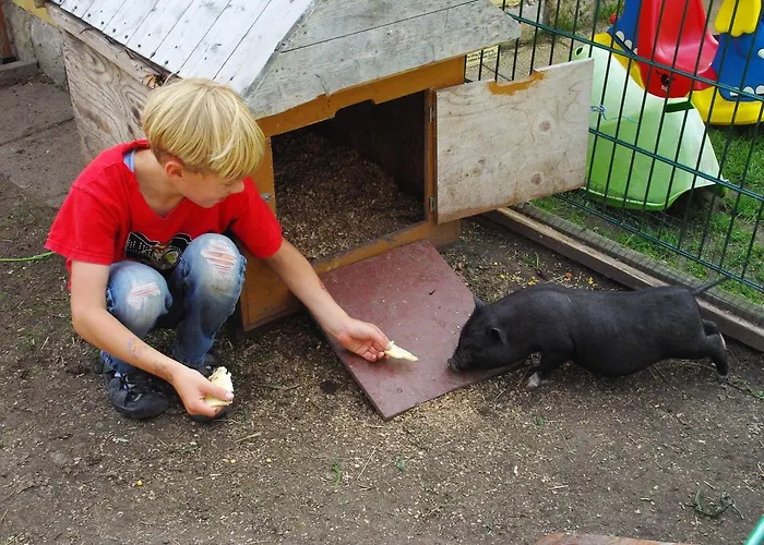 Heidekrug فندق Dohma