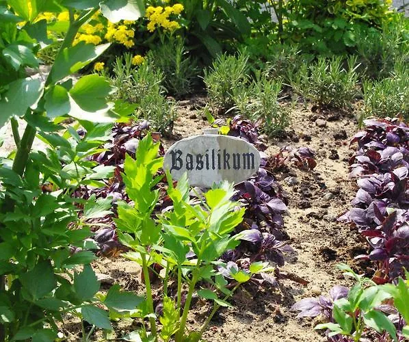 فندق Heidekrug 2*